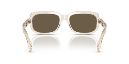 MONCLER ME6008 SUNTRAP 30035A 55