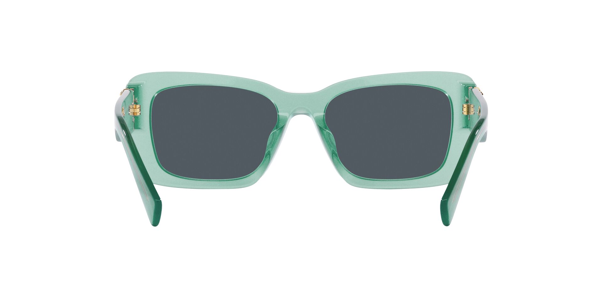 MIU MIU MU 07YS 19L09T 53