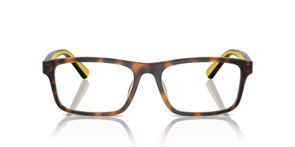 POLO PH2274U 5003 56