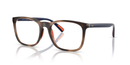 POLO PH2281U 6070 52