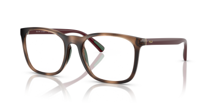 POLO PH2281U 6208 52