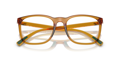 POLO PH2281U 6209 54