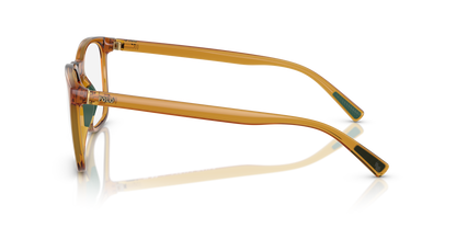 POLO PH2281U 6209 52