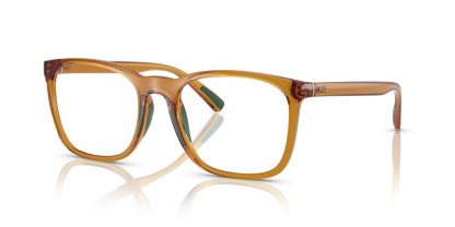 POLO PH2281U 6209 52