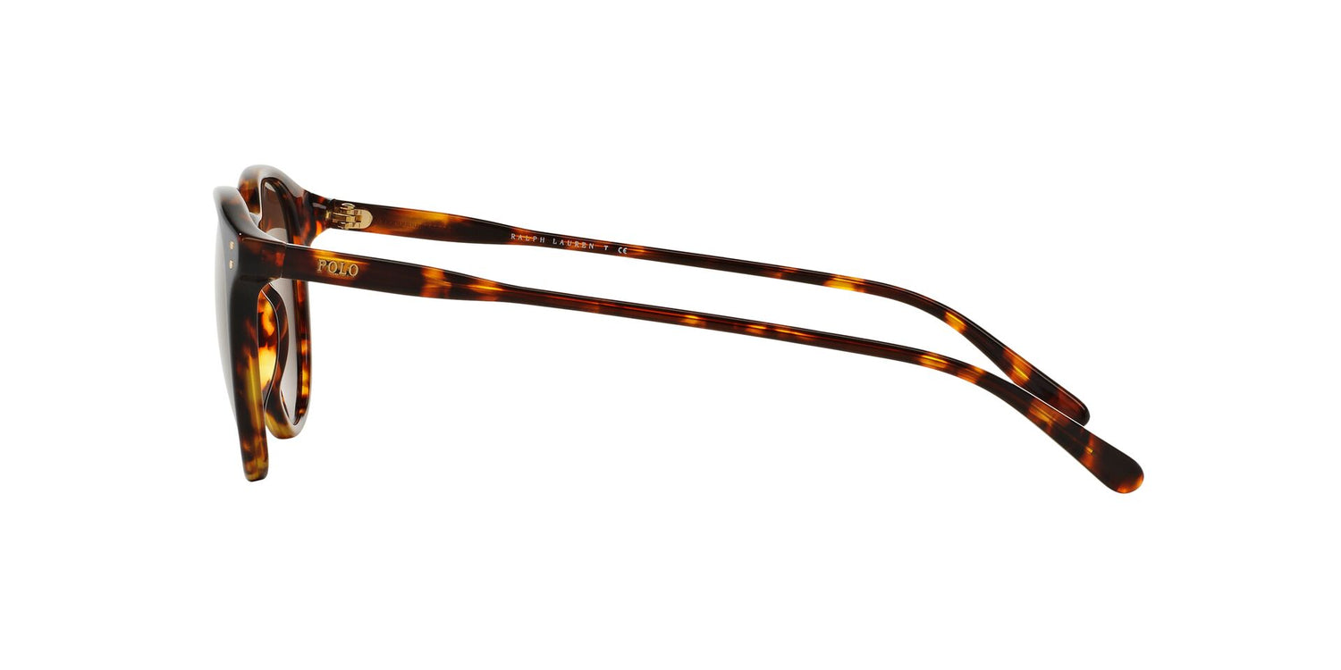 POLO PH4110 513473 50