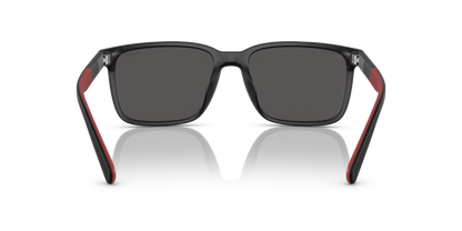 POLO PH4189U 537587 55