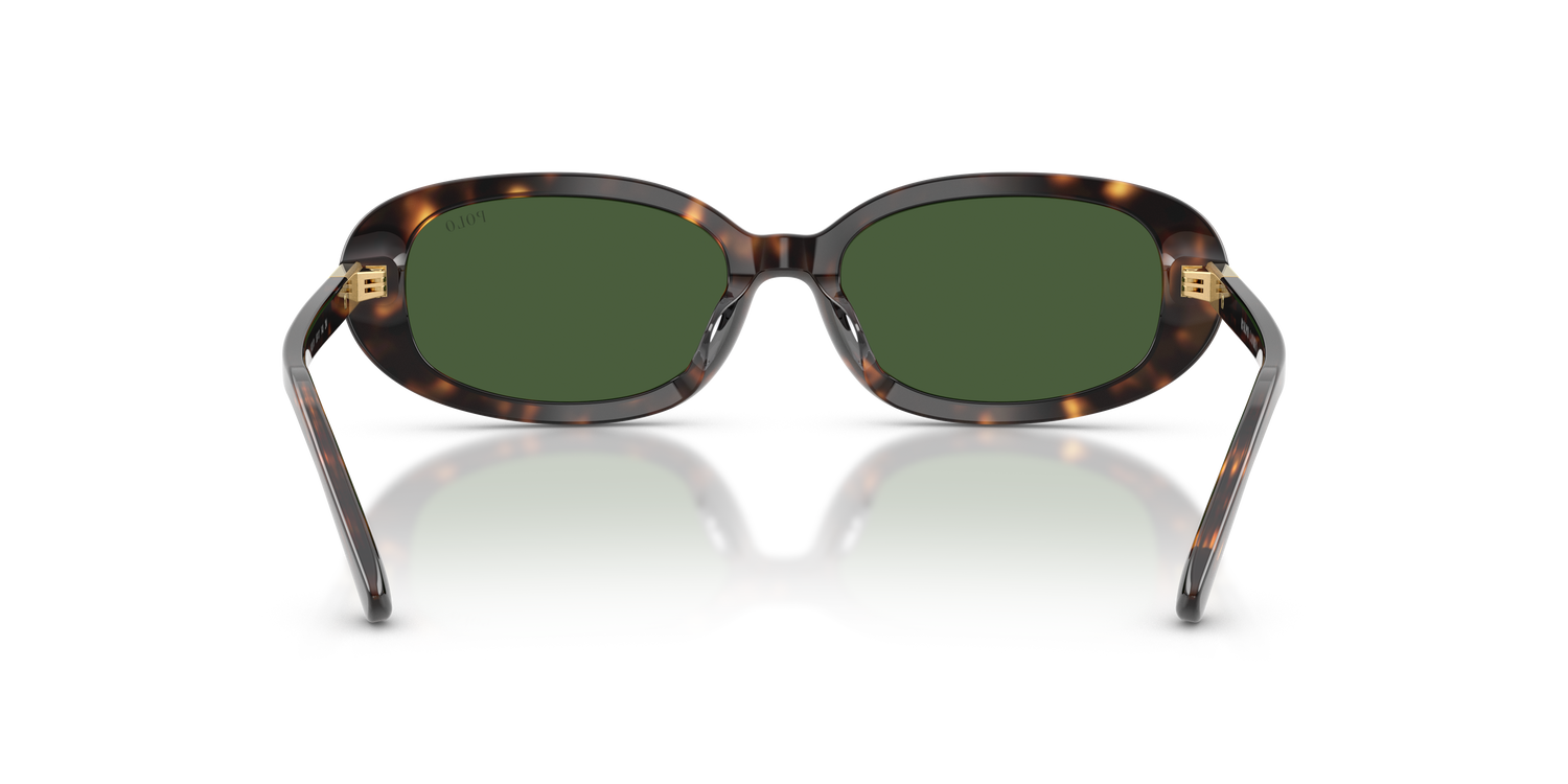 POLO PH4198U 500371 53