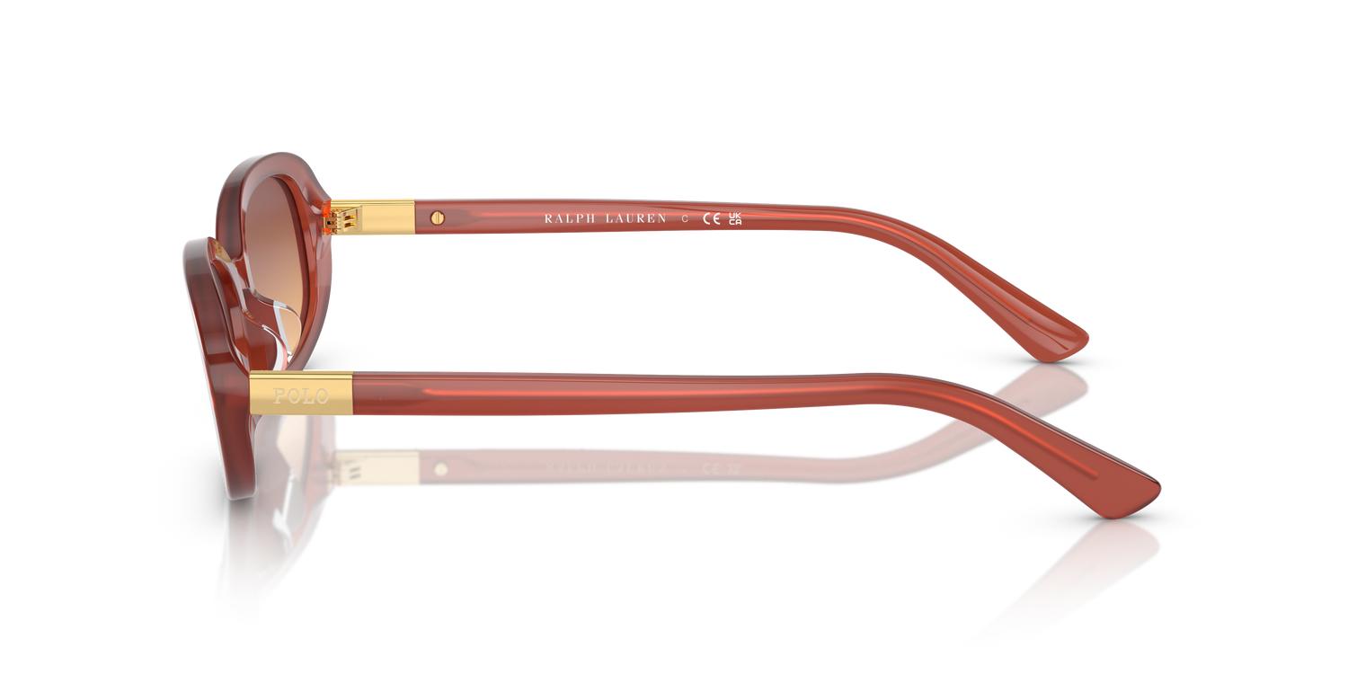 POLO PH4198U 619478 53