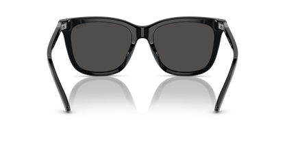 POLO PH4201U 500187 55