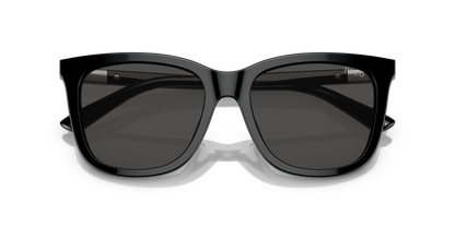 POLO PH4201U 500187 55