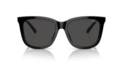 POLO PH4201U 500187 55