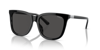 POLO PH4201U 500187 55