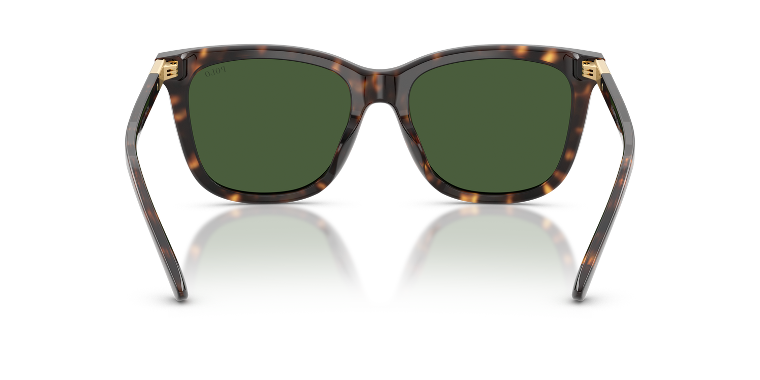 POLO PH4201U 500371 55