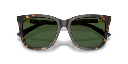 POLO PH4201U 500371 55