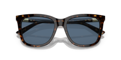 POLO PH4201U 500380 55