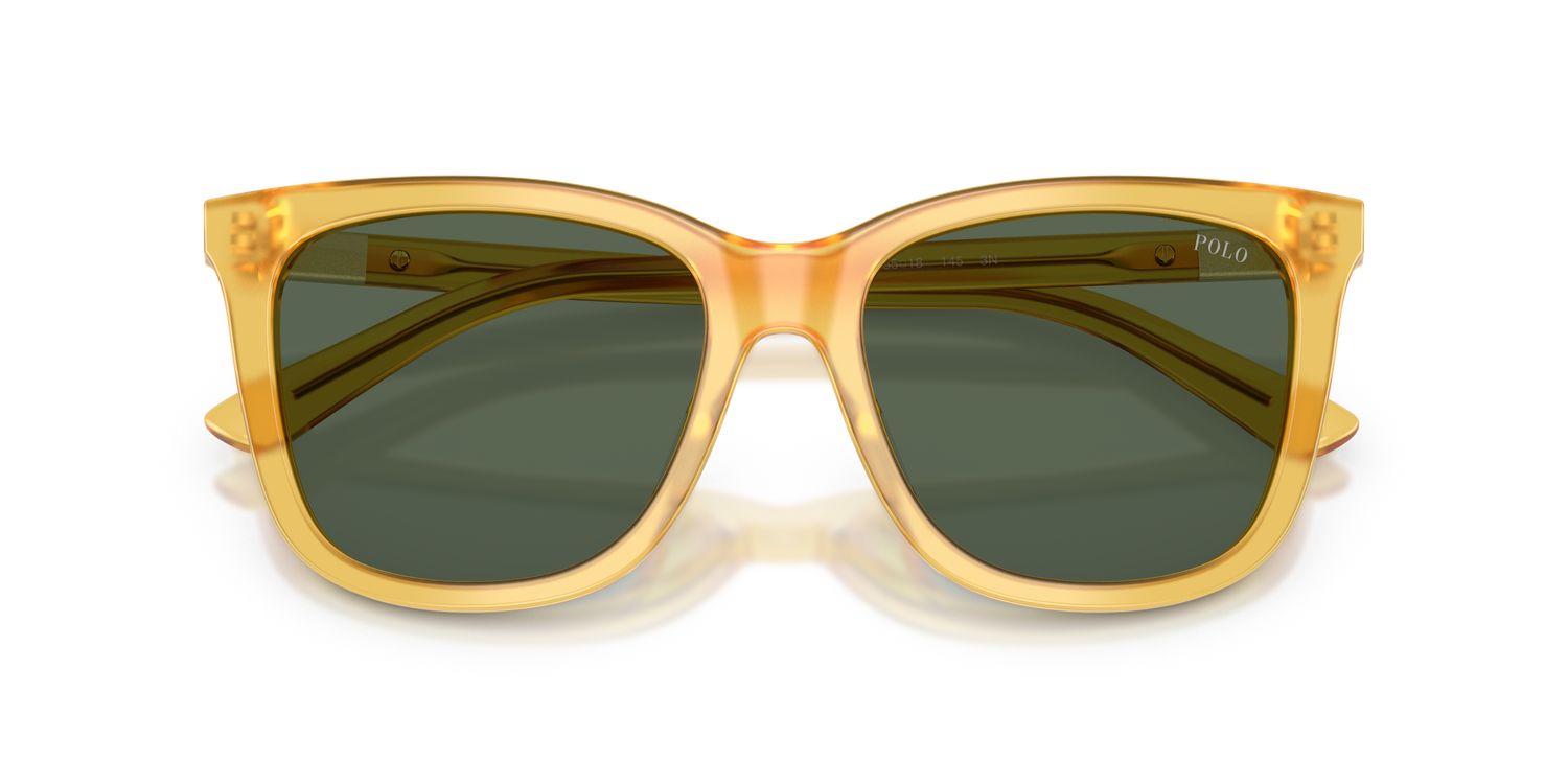 POLO PH4201U 500571 55