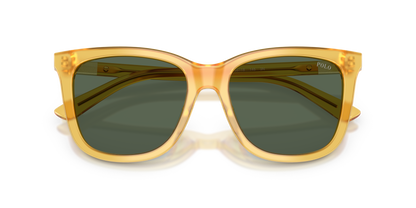 POLO PH4201U 500571 55