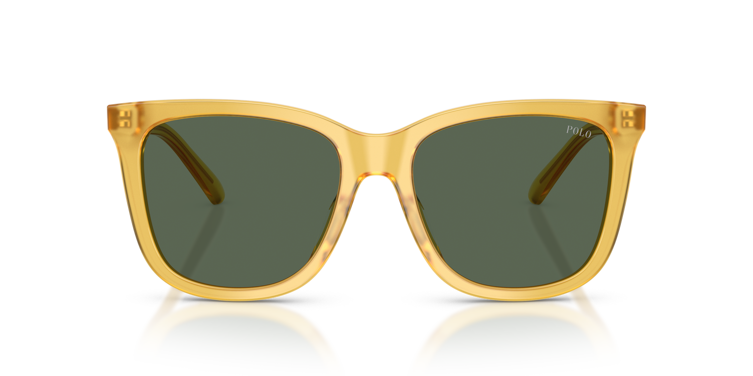 POLO PH4201U 500571 55