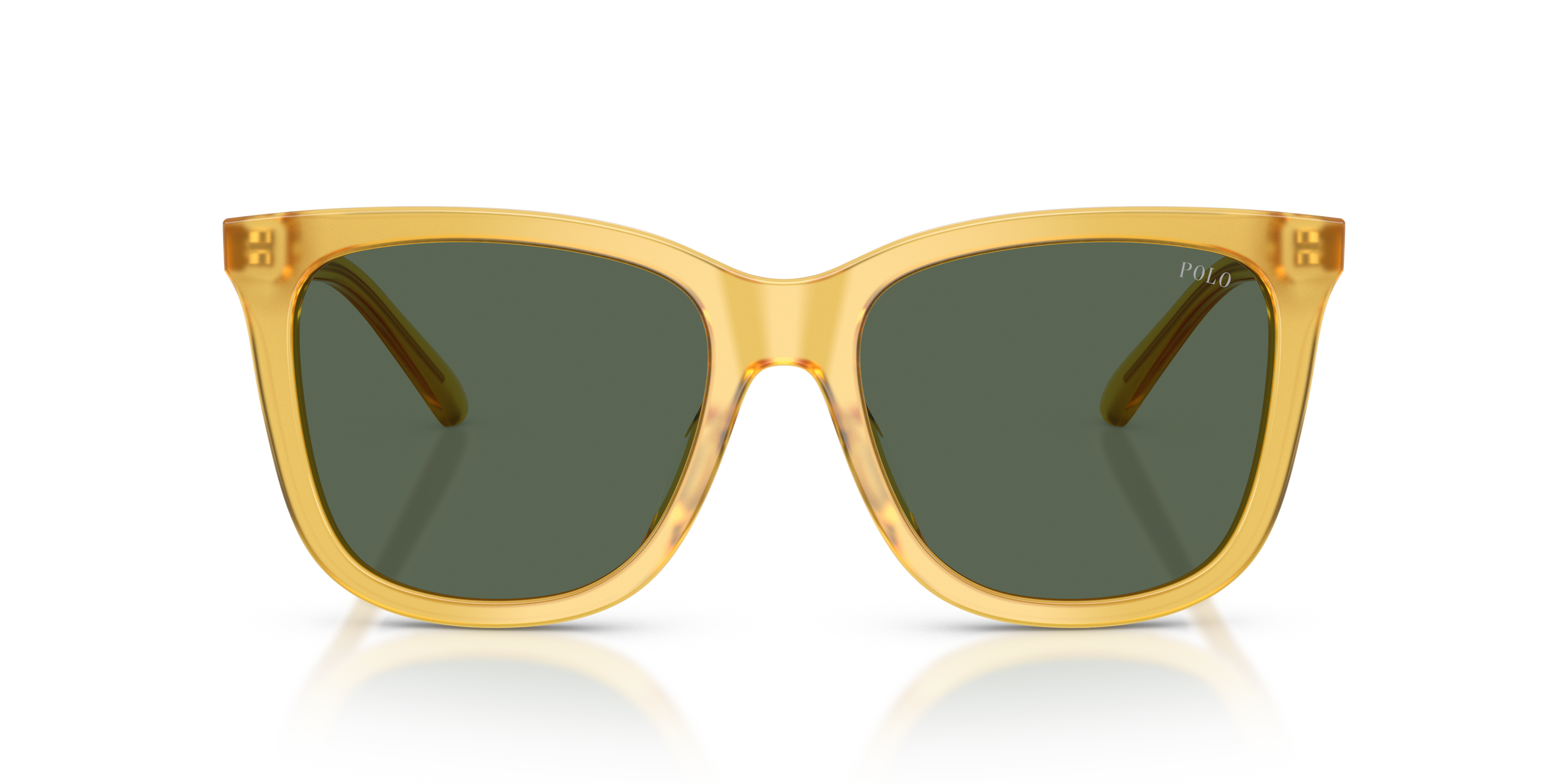 POLO PH4201U 500571 55