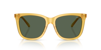 POLO PH4201U 500571 55