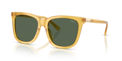 POLO PH4201U 500571 55