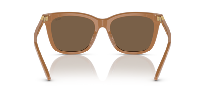 POLO PH4201U 619673 55