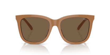 POLO PH4201U 619673 55