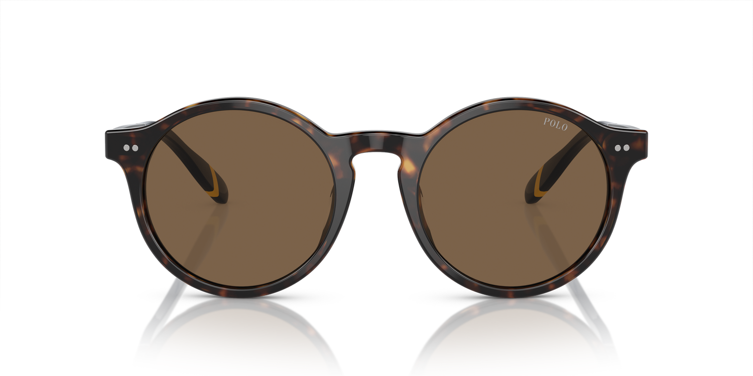 POLO PH4204U 500373 53