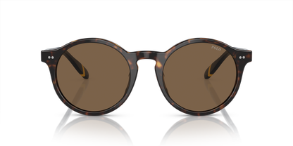 POLO PH4204U 500373 53