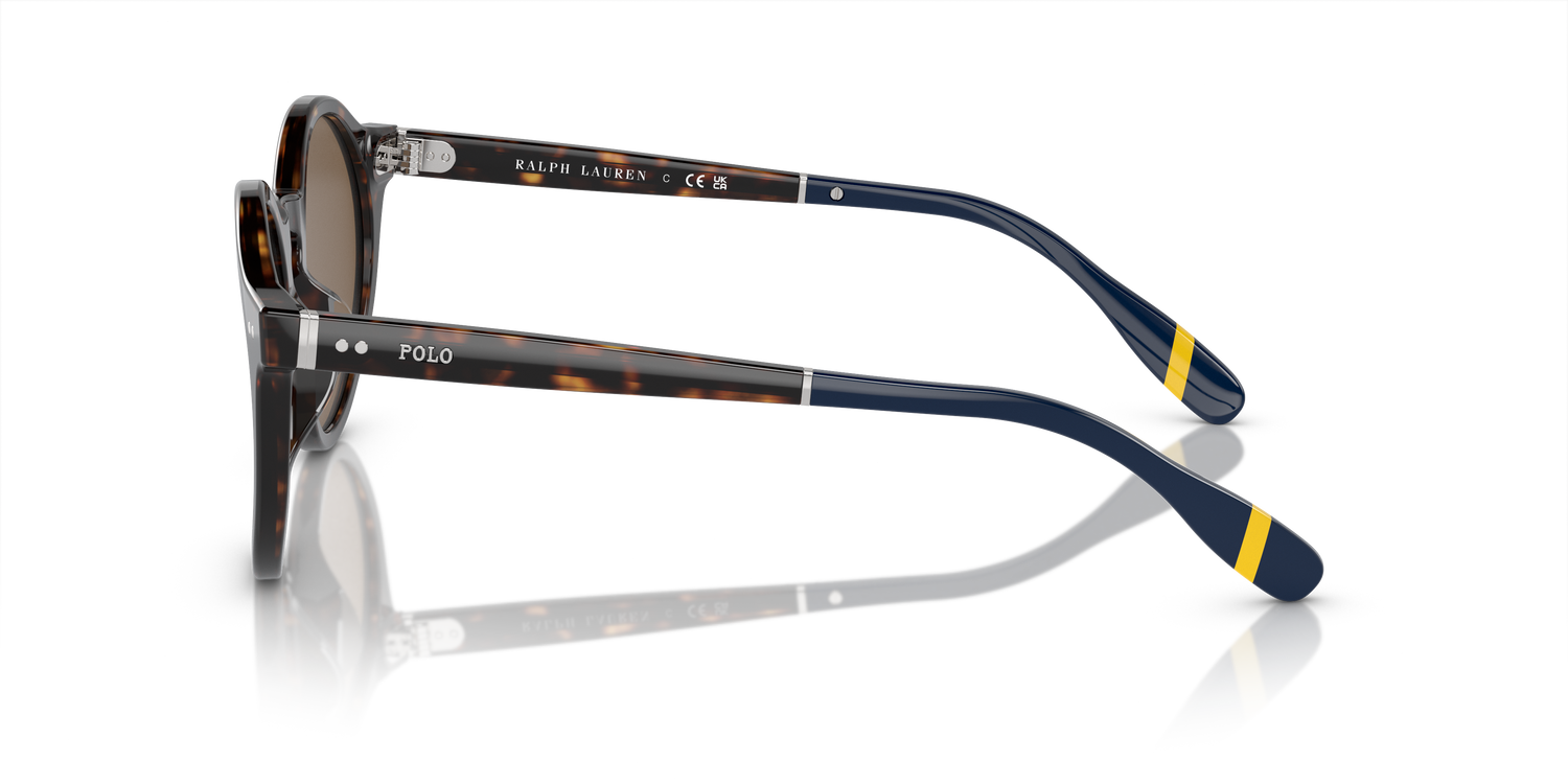 POLO PH4204U 500373 53