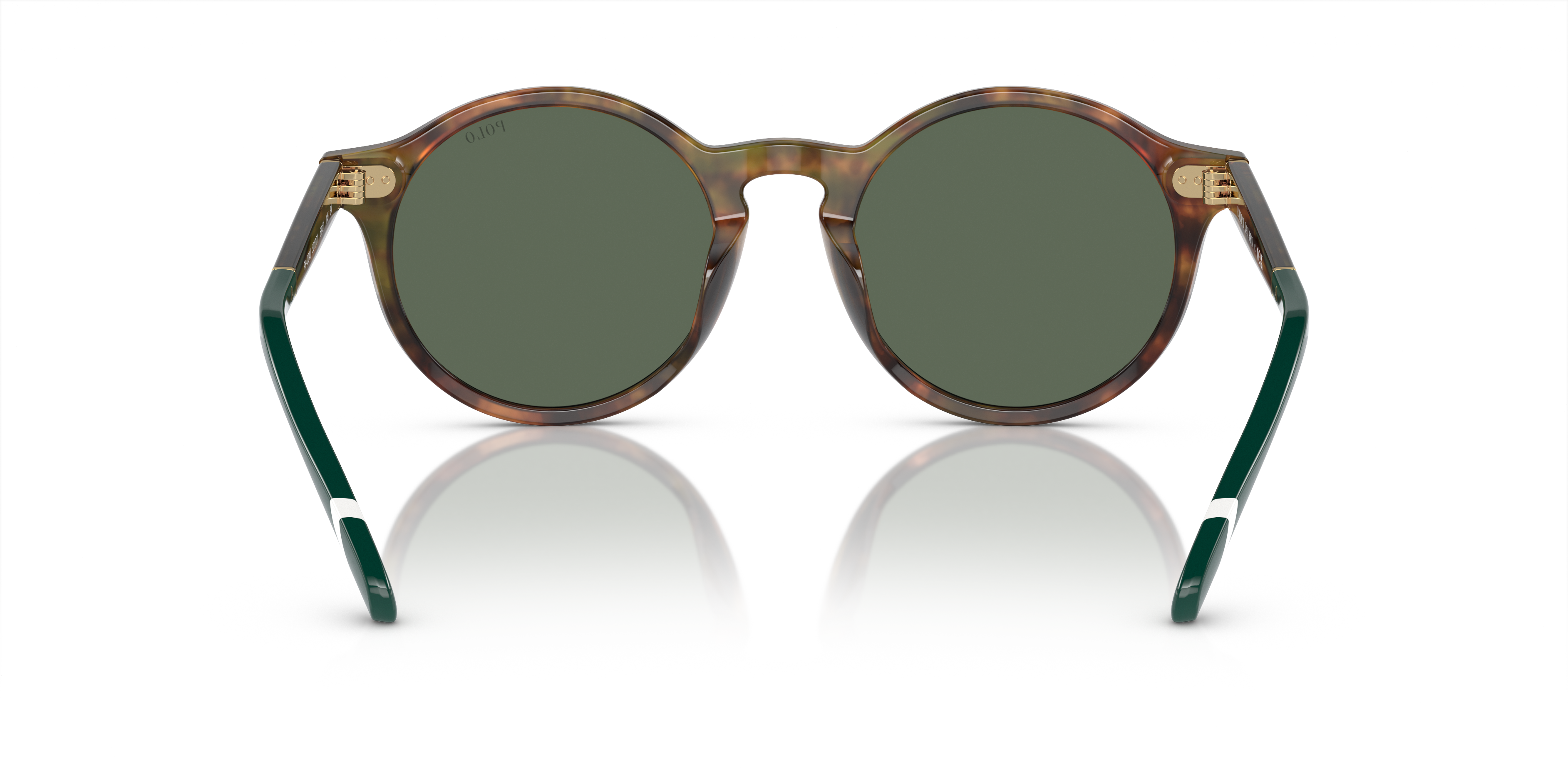 POLO PH4204U 501771 53