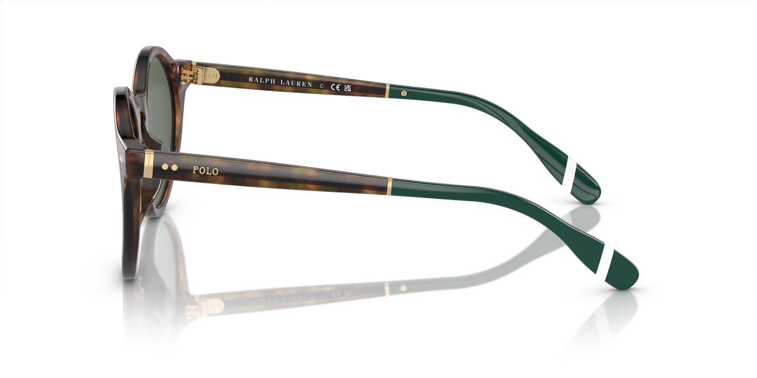 POLO PH4204U 501771 53