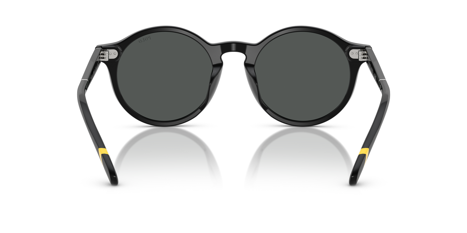 POLO PH4204U 538587 53