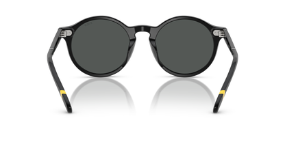 POLO PH4204U 538587 50