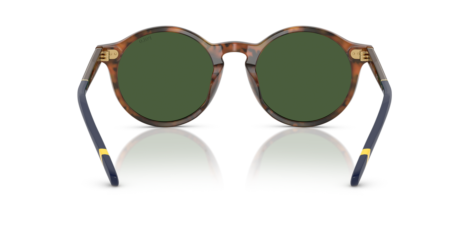 POLO PH4204U 562571 50