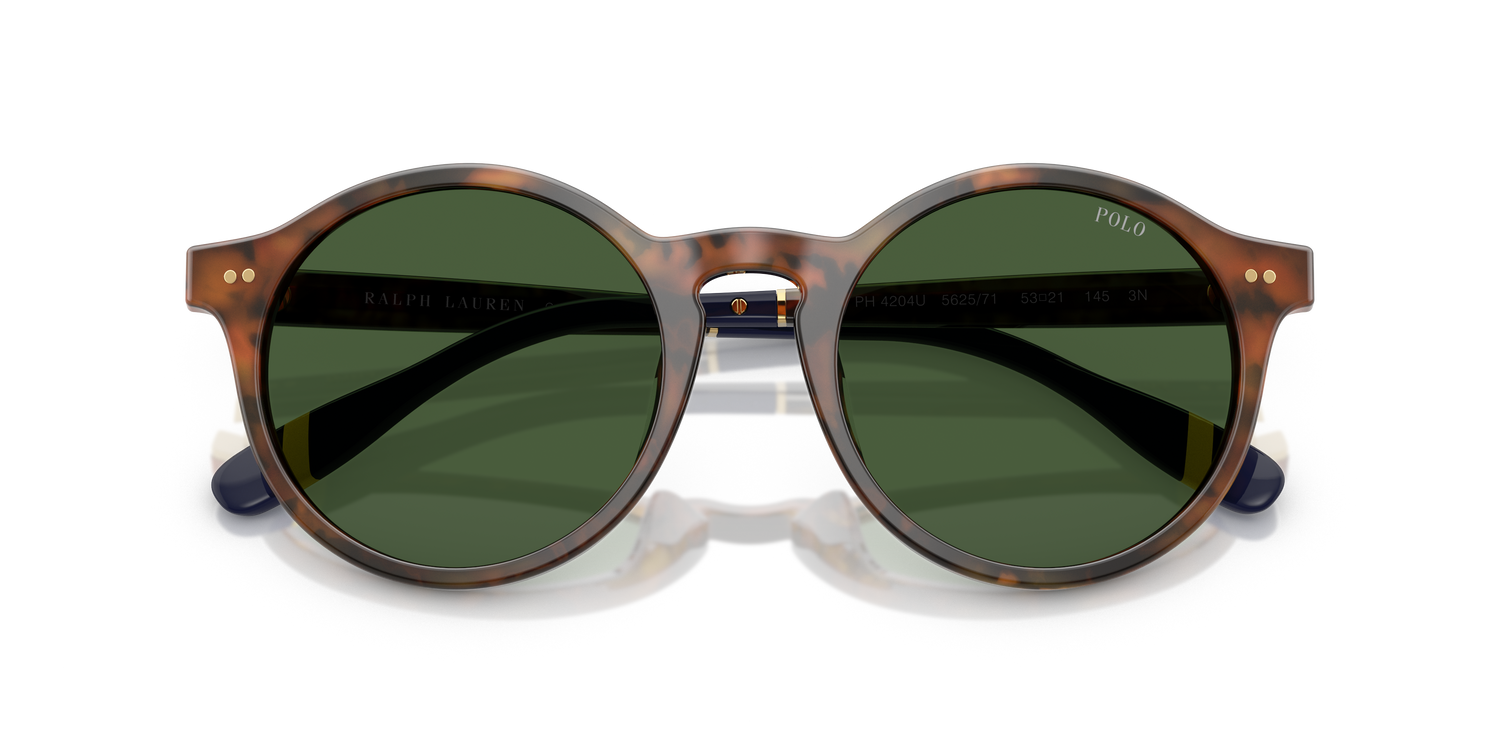 POLO PH4204U 562571 53