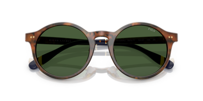 POLO PH4204U 562571 53