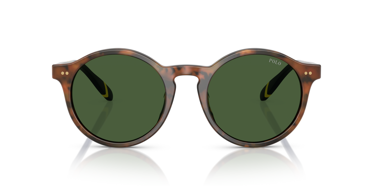 POLO PH4204U 562571 50