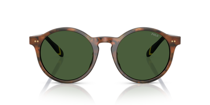 POLO PH4204U 562571 50