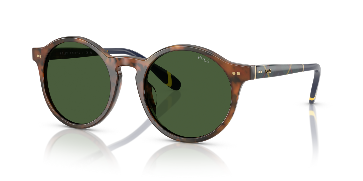 POLO PH4204U 562571 50