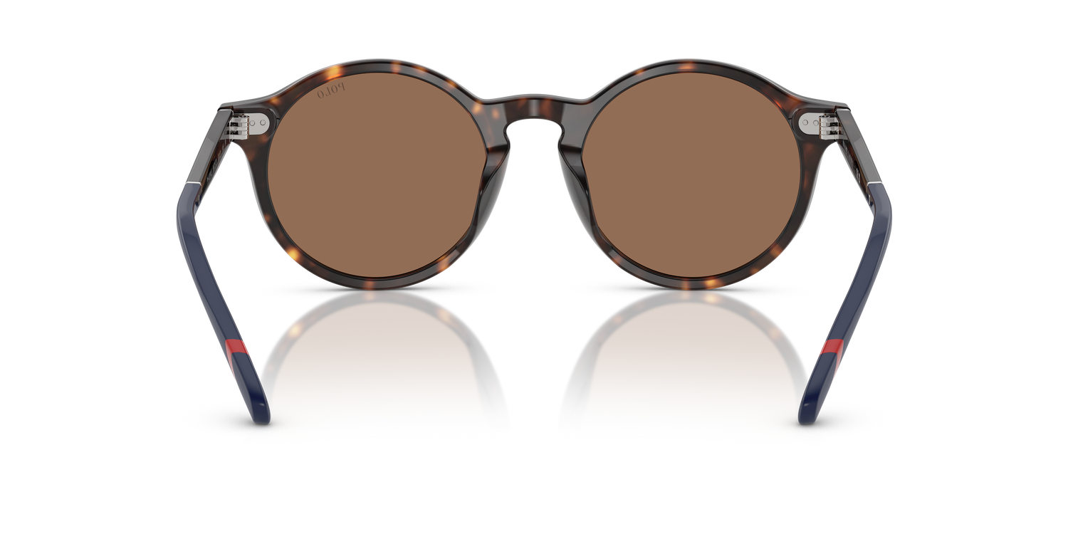 POLO PH4204U 567373 53