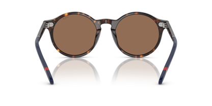 POLO PH4204U 567373 53