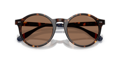 POLO PH4204U 567373 50