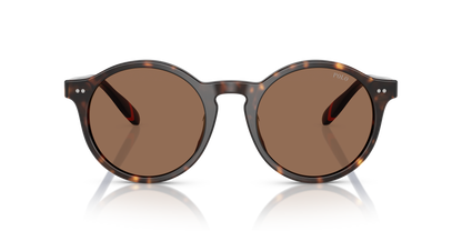 POLO PH4204U 567373 53