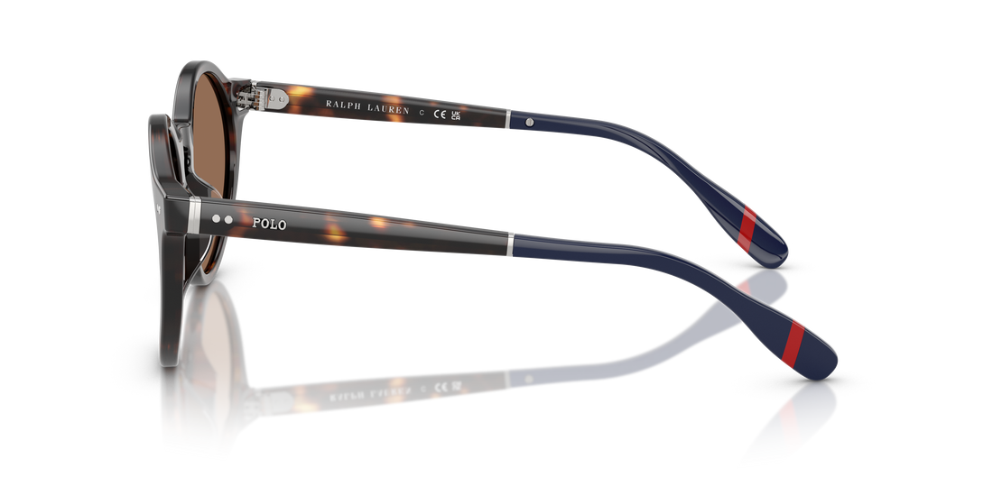 POLO PH4204U 567373 53