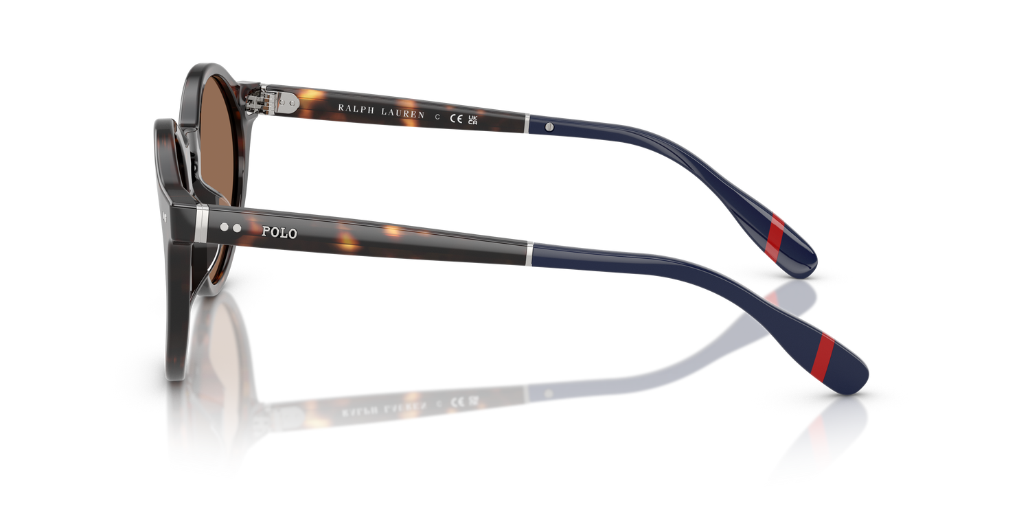 POLO PH4204U 567373 50