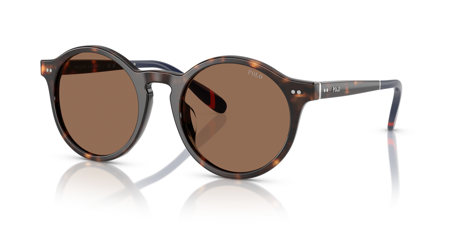 POLO PH4204U 567373 50