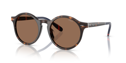 POLO PH4204U 567373 50