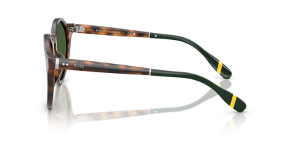 POLO PH4204U 608971 53