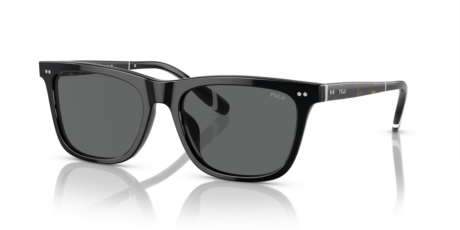 POLO PH4205U 500187 56